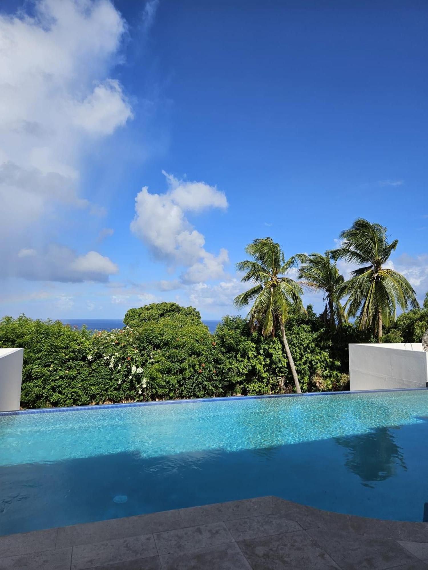Purple Haze - Infinity Pool Holiday Home Minutes From The Island'S Best Beaches Saint James Exteriér fotografie